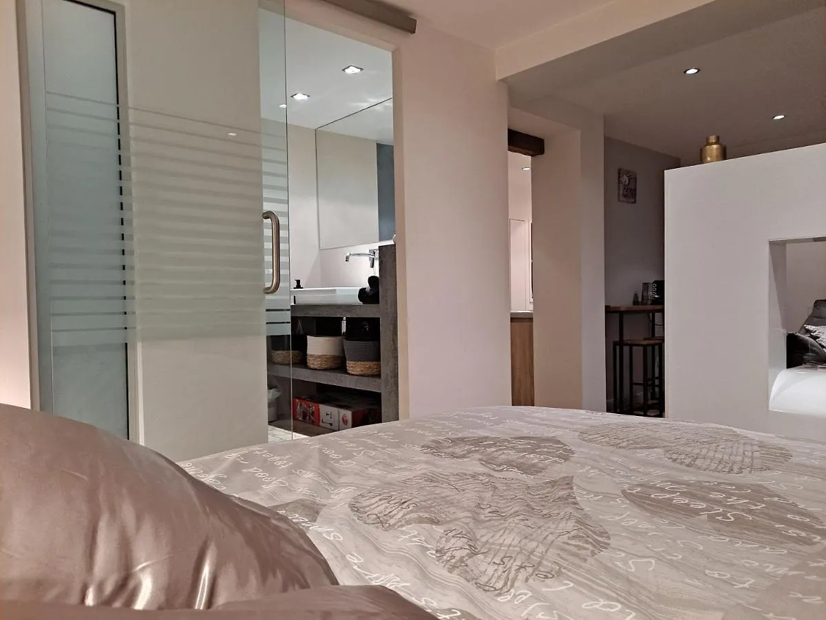 Boigne Sweet Suite Chambéry Appartamento